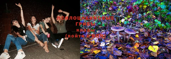 кокаин колумбия Алексин