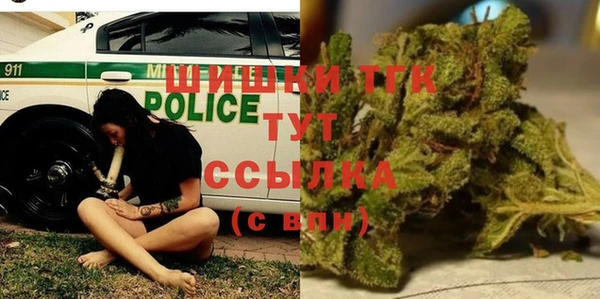 соль ск Алзамай