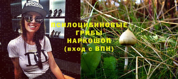 соль ск Алзамай